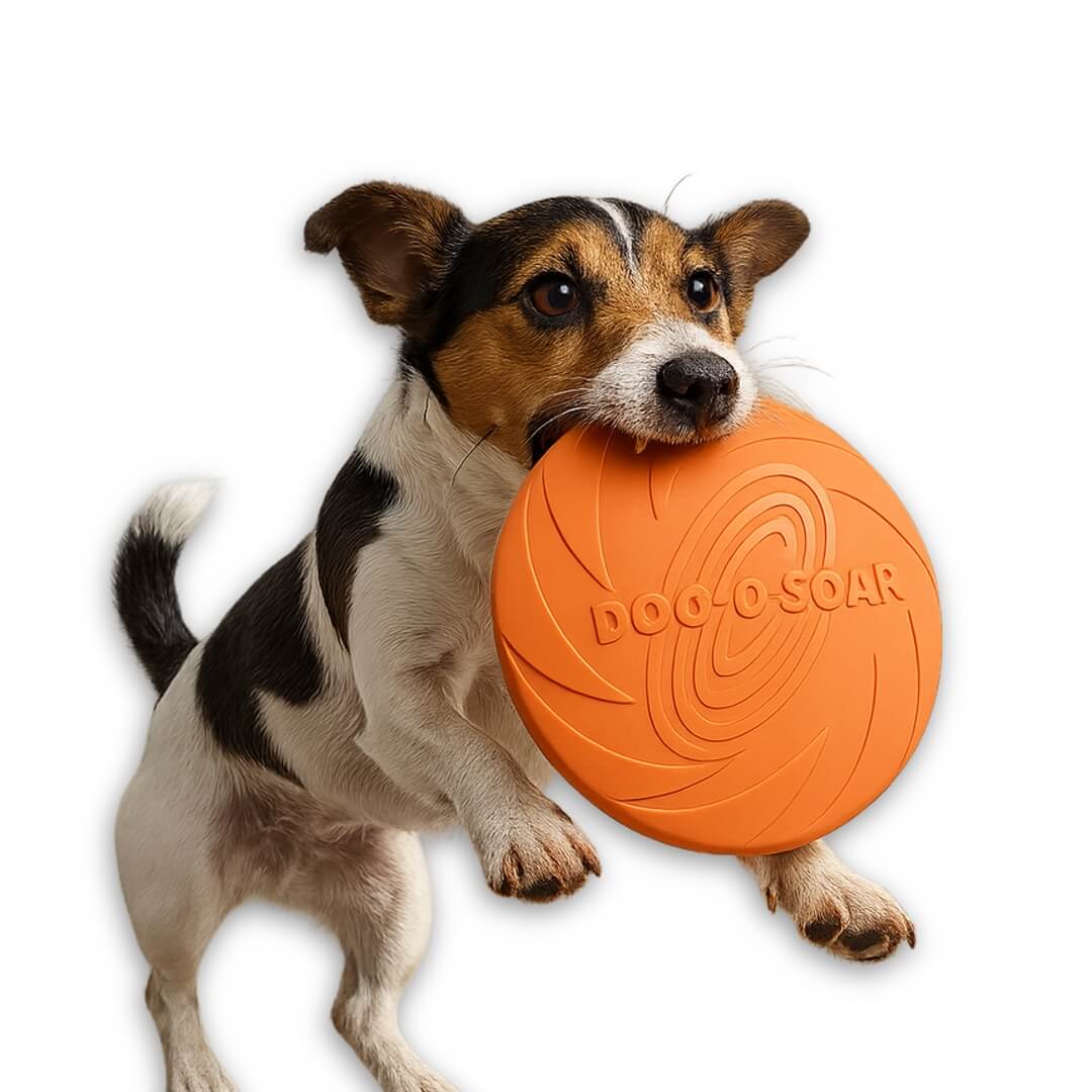 Frisbee per cani in gomma naturale – gioco da riporto galleggiante per attività all’aperto