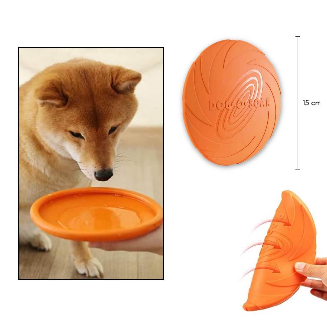 Accessorio outdoor per animali – frisbee per cani pieghevole e utilizzabile come ciotola da viaggio